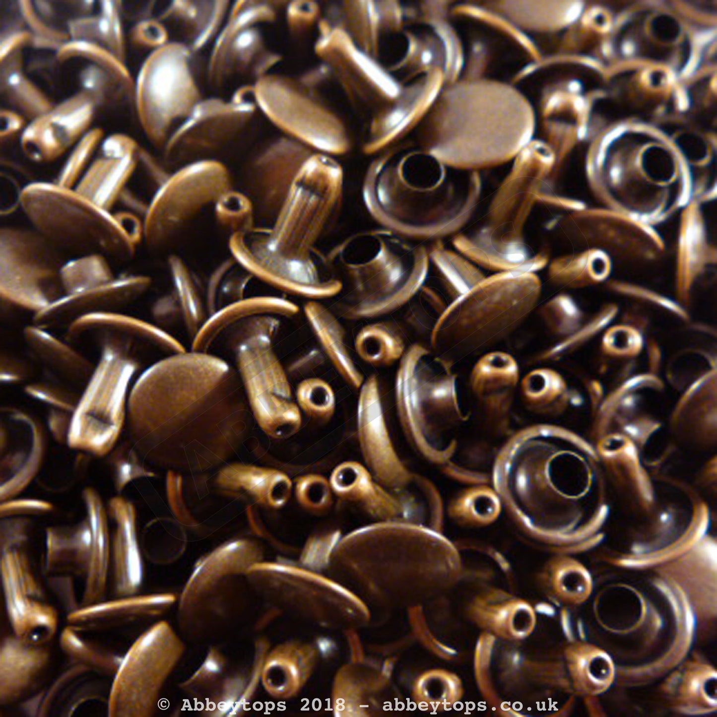Double Cap Rivets