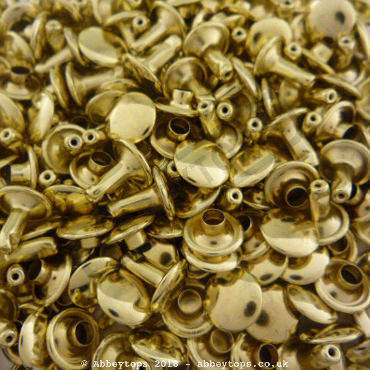 Double Cap Rivets